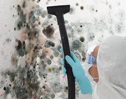 Mold Removal for HVAC Installations in East Dubuque, IL